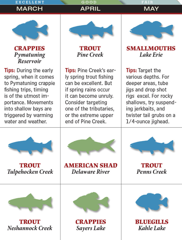 Beginners Guide to Fishing in New Jersey