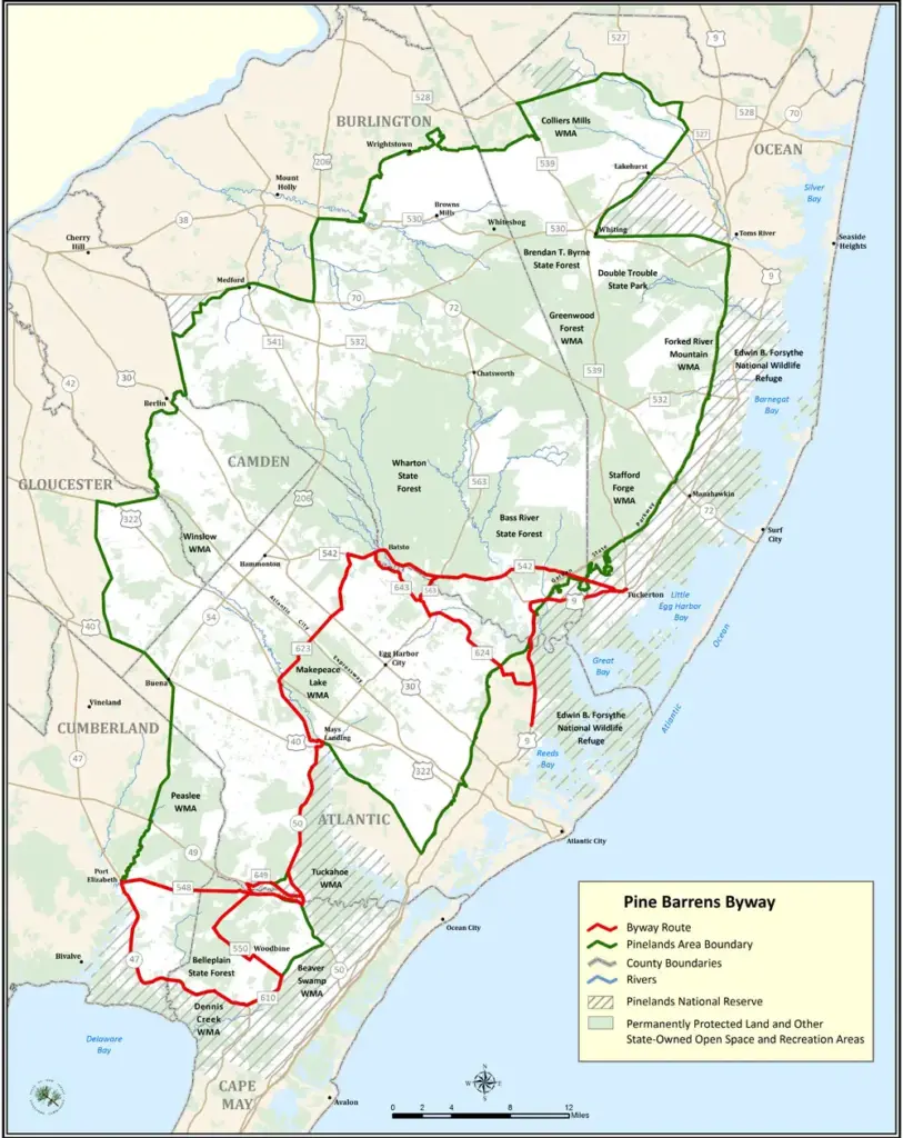 Hiking the Pine Barrens: A Guide to Southern New Jerseys Natural Wonders Hiking the Pine Barrens: A Guide to Southern New Jerseys Natural Wonders