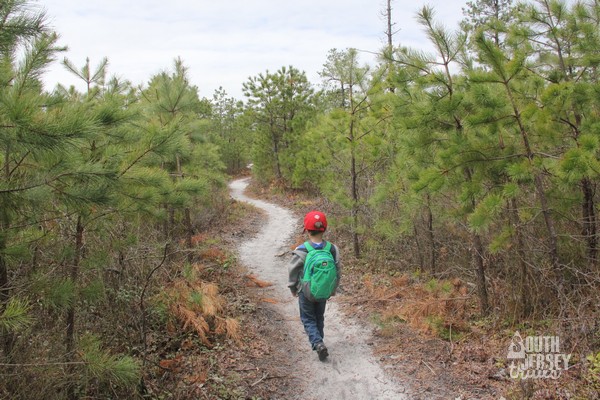 Hiking the Pine Barrens: A Guide to Southern New Jerseys Natural Wonders Hiking the Pine Barrens: A Guide to Southern New Jerseys Natural Wonders