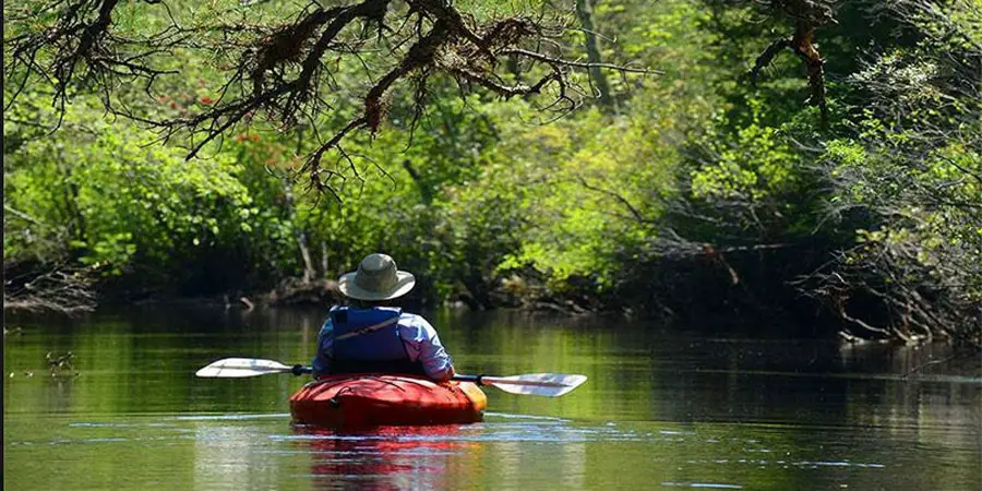 Hiking the Pine Barrens: A Guide to Southern New Jerseys Natural Wonders Hiking the Pine Barrens: A Guide to Southern New Jerseys Natural Wonders