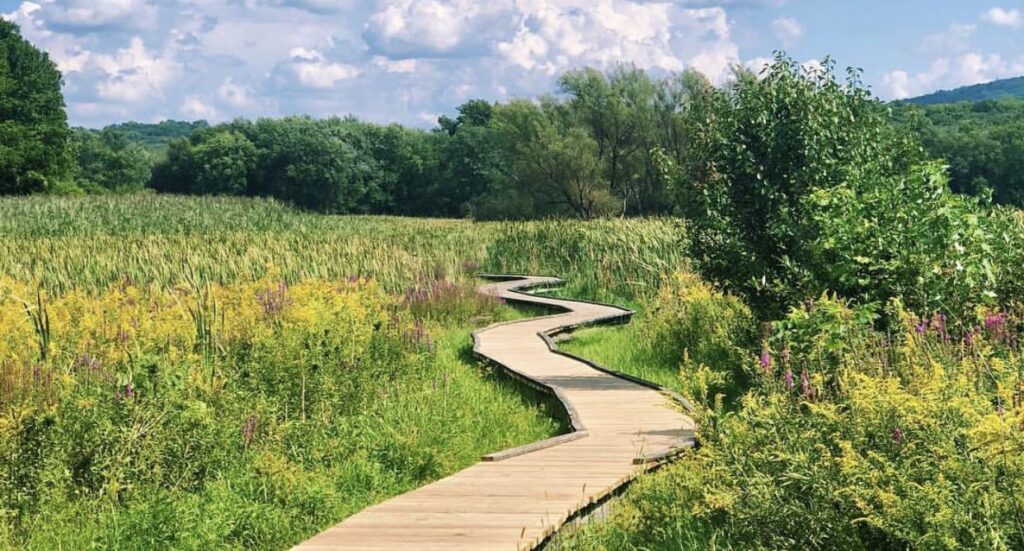 Tranquil Trails: Beginner-Friendly Hikes for Exploring New Jersey