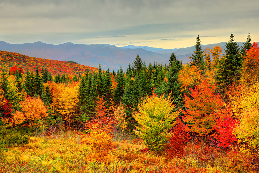 Discover the Breathtaking Fall Foliage on New Jerseys Best Hikes