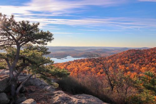 Discover the Breathtaking Fall Foliage on New Jerseys Best Hikes