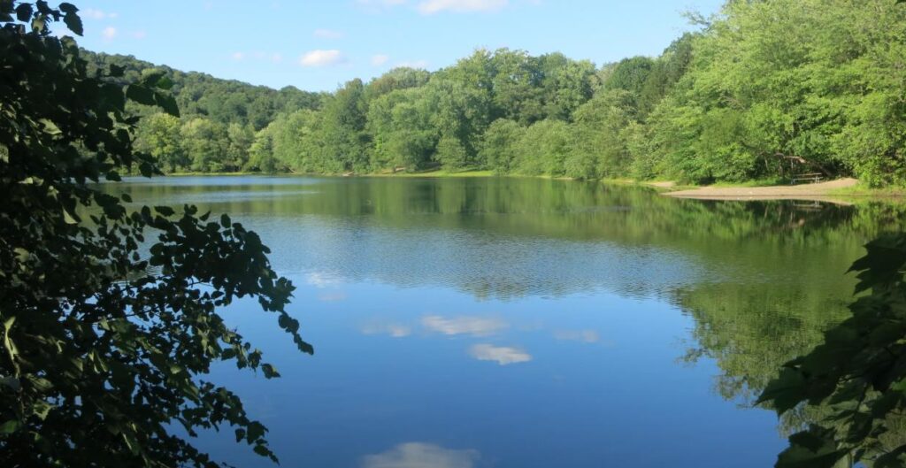 Explore the Beauty of Ramapo Valley County Reservation on a Suggested Hike