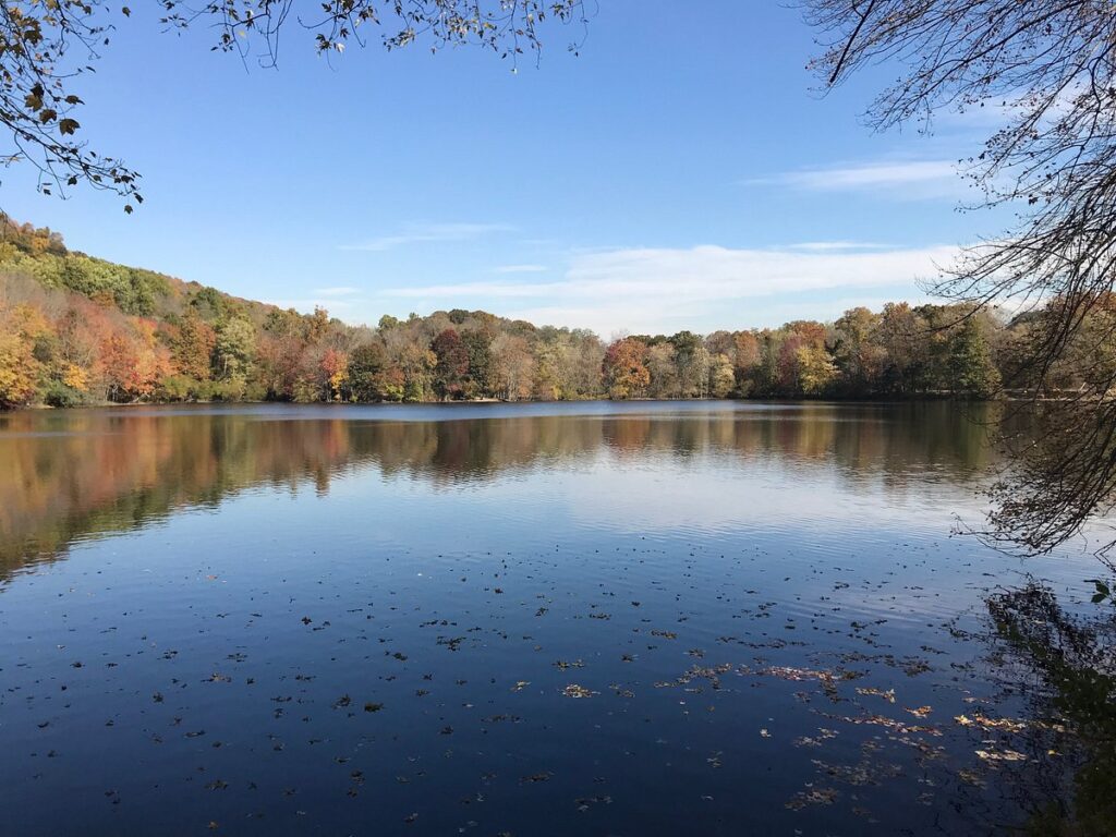 Explore the Beauty of Ramapo Valley County Reservation on a Suggested Hike