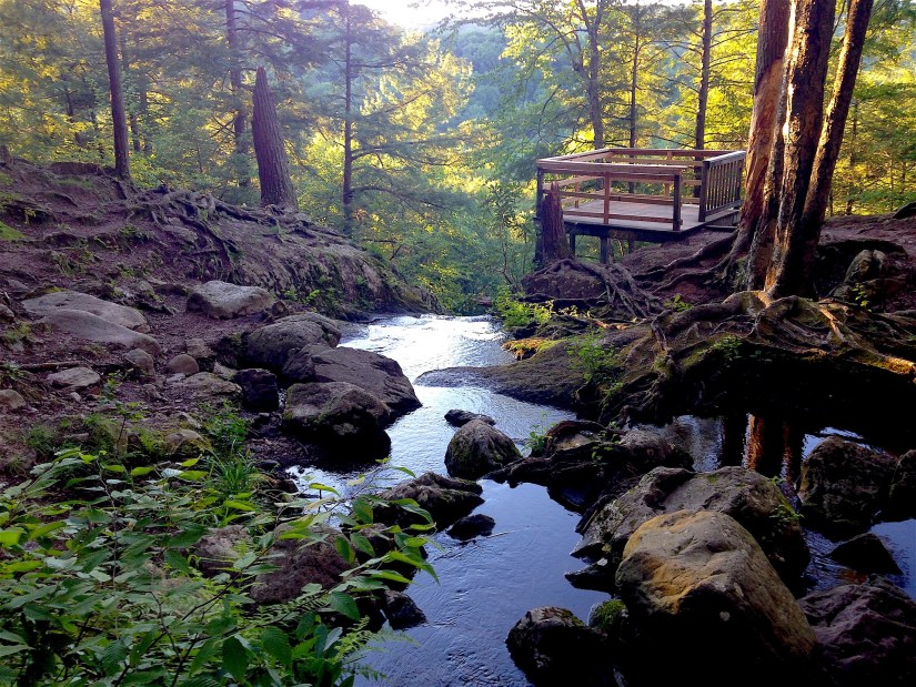 Exploring New Jerseys Hidden Gems: Off-the-Beaten-Path Hikes