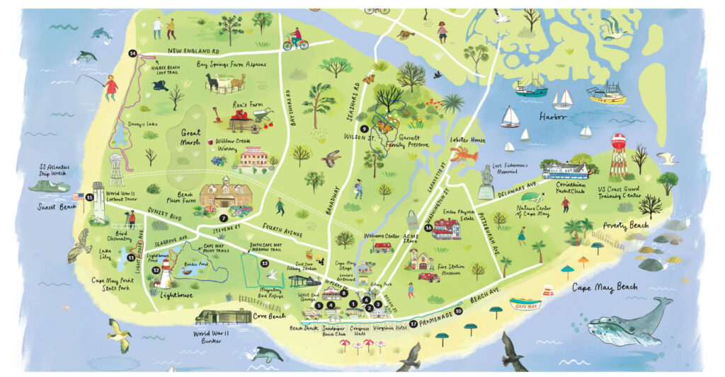 Exploring the Jersey Shore Through Beach Hiking