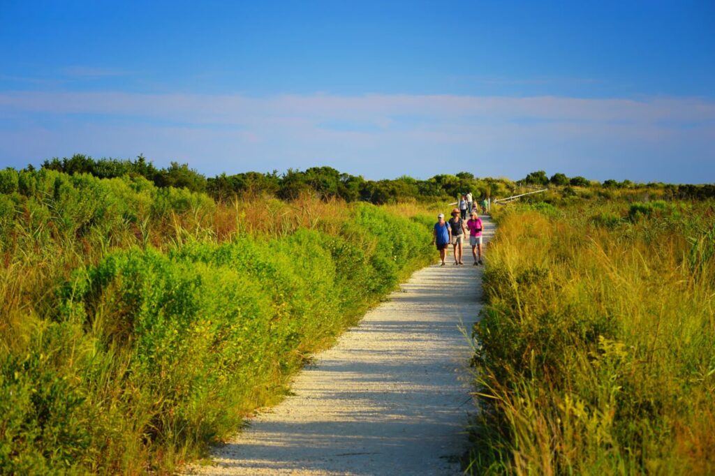 Exploring the Jersey Shore Through Beach Hiking