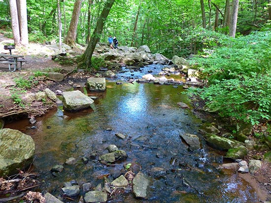 Suggested Hike: Hacklebarney State Park Trail