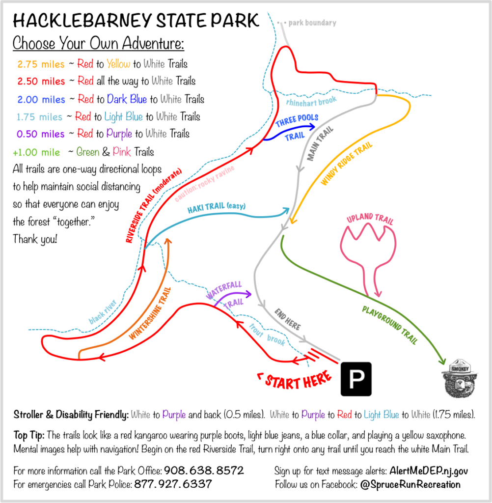 Suggested Hike: Hacklebarney State Park Trail