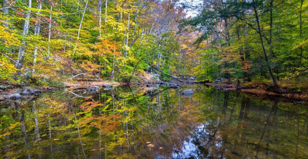 Suggested Hike: Hacklebarney State Park Trail